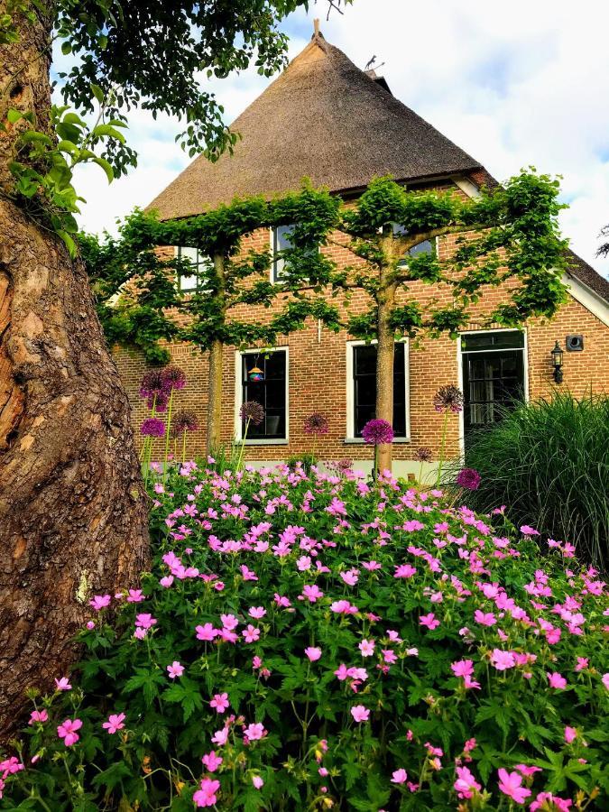 הוילה In De Tuin In Gees מראה חיצוני תמונה